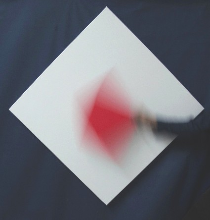franck gribling, R. in n'th dimension,2013